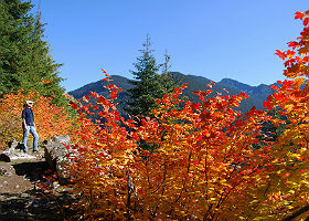 View of Innkeeper hiking in the mountains surrounded by bright orange maple leaves and purple mountains.